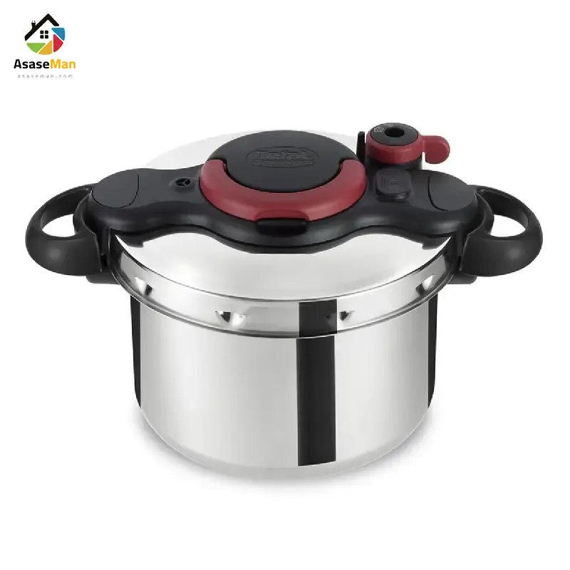 زودپز تفال مدل P4624966