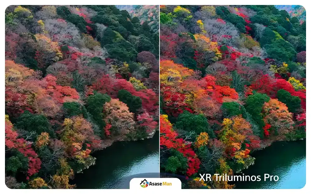 XR Triluminos Pro™ در تلویزون سونی XR70 مدل Bravia 7